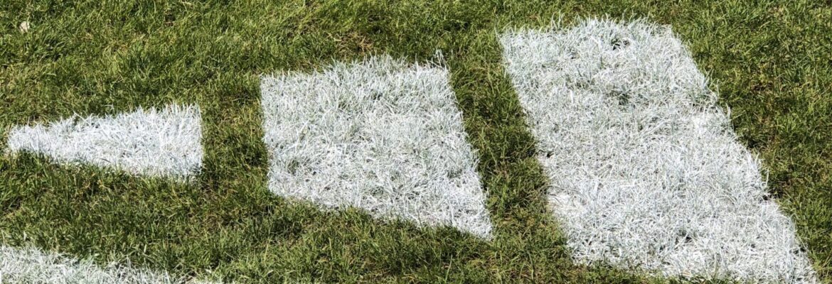 baseball-grass-adidas